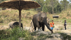Chiang Mai