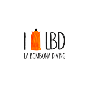Descuento curso Open Water Koh Tao