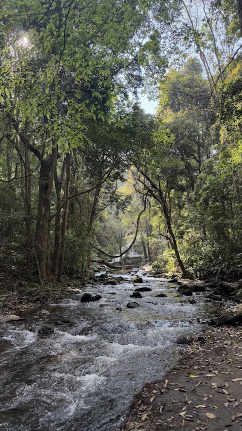 Naturaleza en Doi Inthanon, Chiang Mai