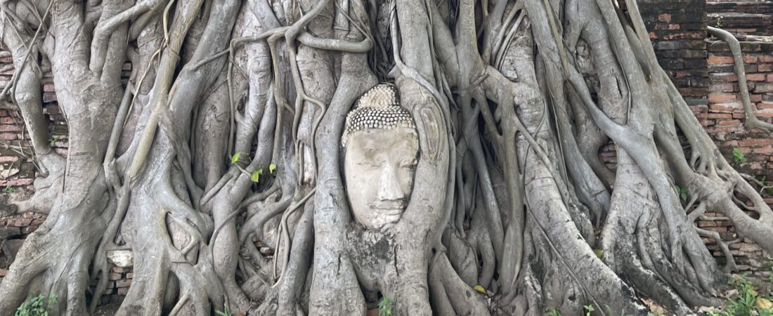 Cómo ir de Bangkok a Ayutthaya en tren por menos de un euro