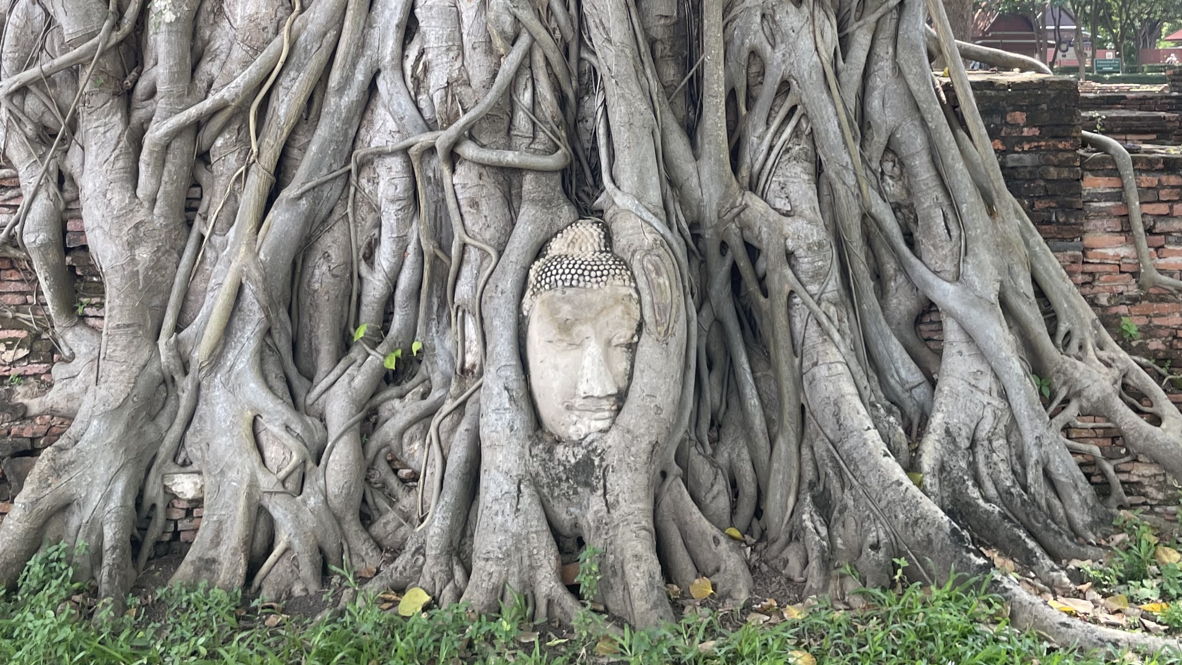 Cómo ir de Bangkok a Ayutthaya en tren por menos de un euro