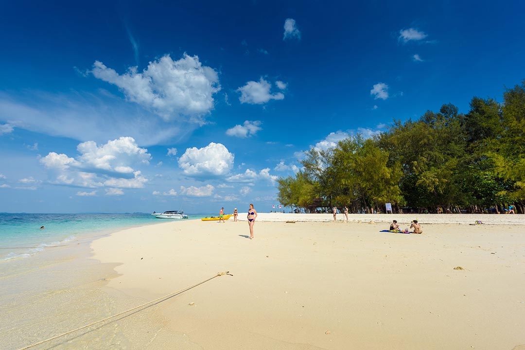 Playa y aguas cristalinas de Chicken Island